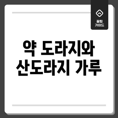 약 도라지와 산도라지 가루