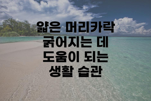얇은 머리카락 굵어지는 데 좋은 음식