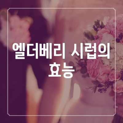 엘더베리 시럽의 효능
