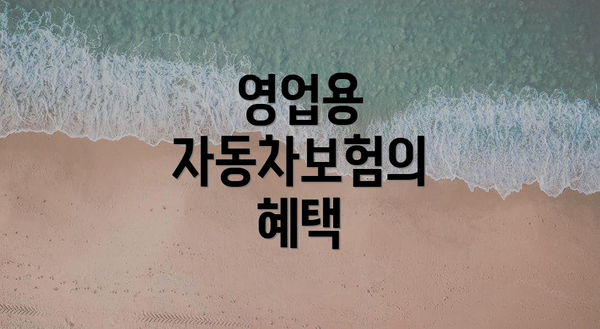 영업용 자동차보험의 혜택