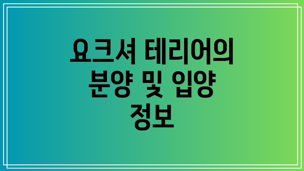 요크셔 테리어의 분양 및 입양 정보