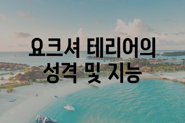요크셔 테리어의 성격 및 지능