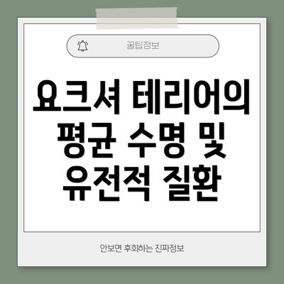 요크셔 테리어의 평균 수명 및 유전적 질환