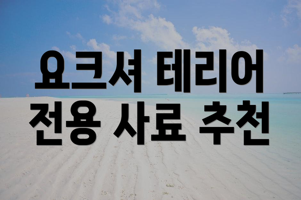 요크셔 테리어 전용 사료 추천