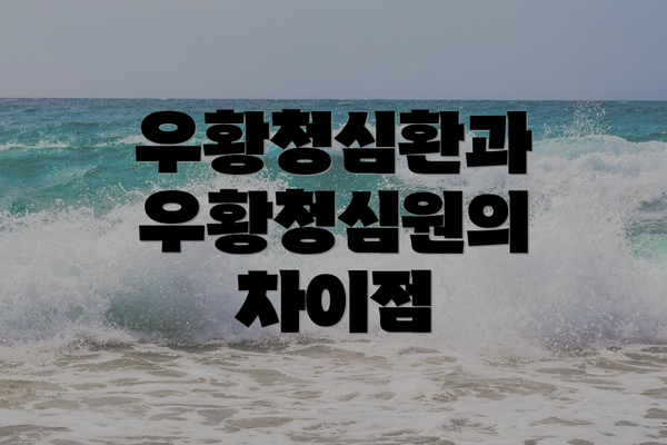 우황청심환과 우황청심원의 차이점