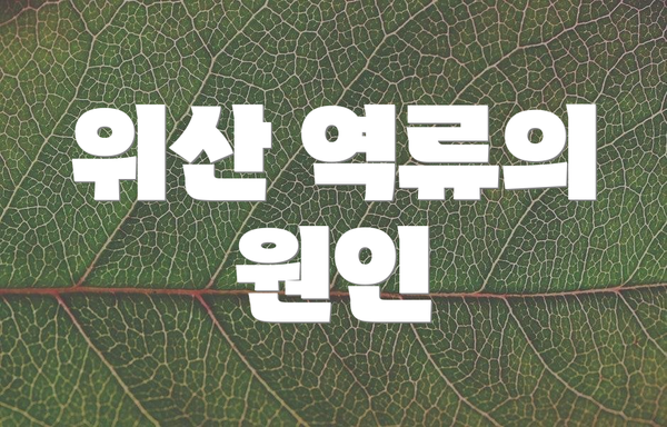 위산 역류의 원인