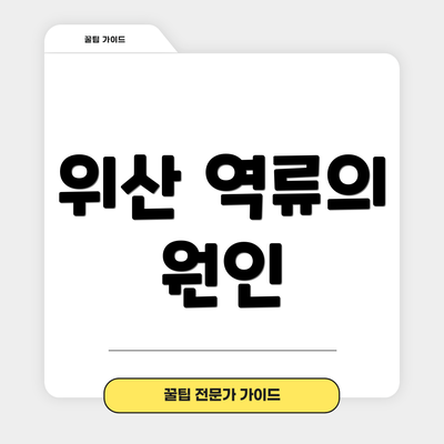 위산 역류의 원인