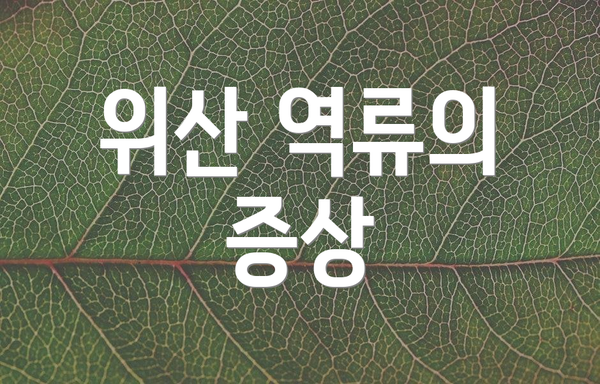위산 역류의 증상