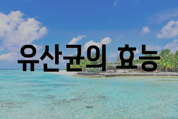 유산균의 효능