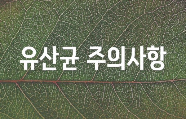 유산균 주의사항