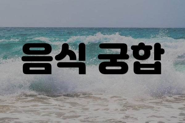 음식 궁합