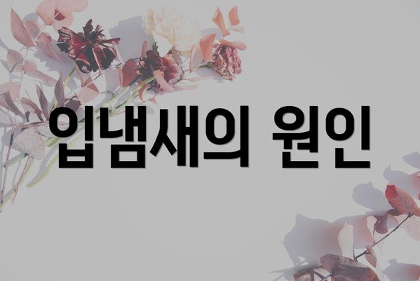입냄새의 원인