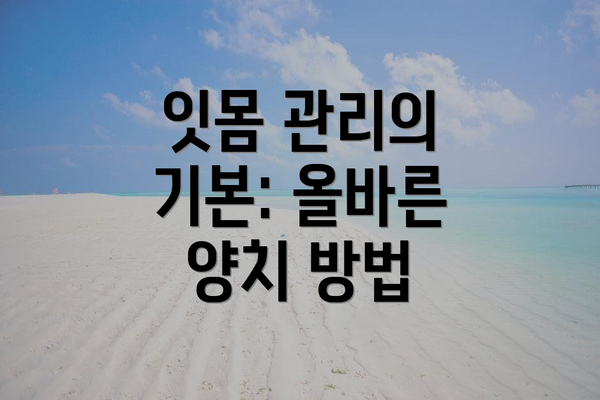 잇몸 관리의 기본: 올바른 양치 방법