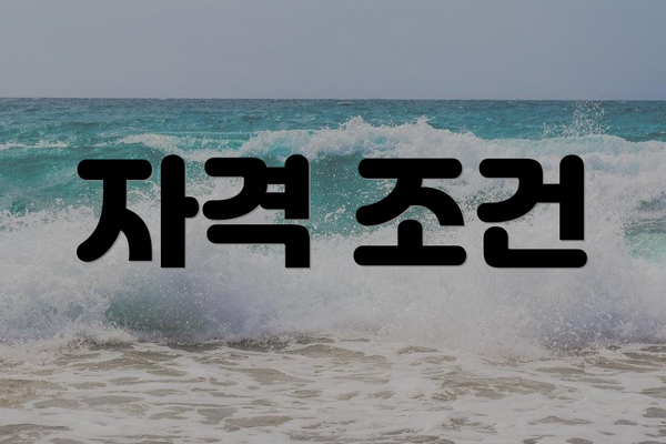 자격 조건