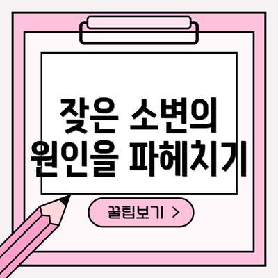 잦은 소변의 원인을 파헤치기