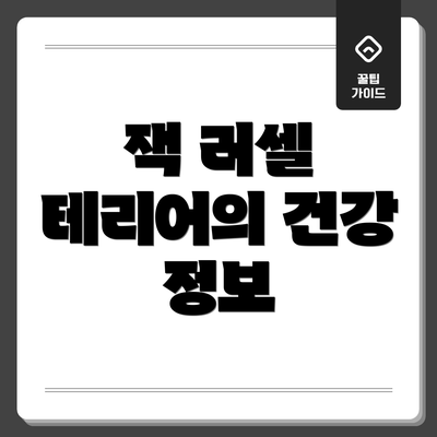 잭 러셀 테리어의 건강 정보