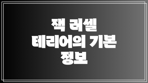 잭 러셀 테리어의 기본 정보