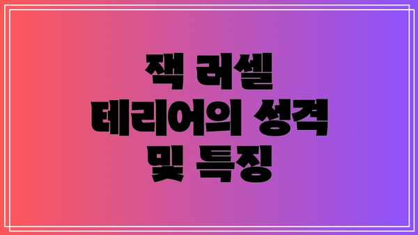 잭 러셀 테리어의 성격 및 특징