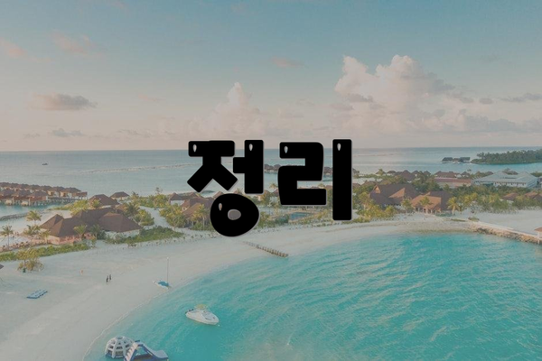 정리