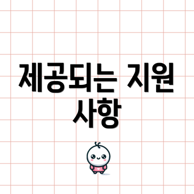 제공되는 지원 사항