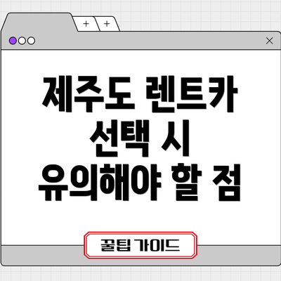 제주도 렌트카 선택 시 유의해야 할 점