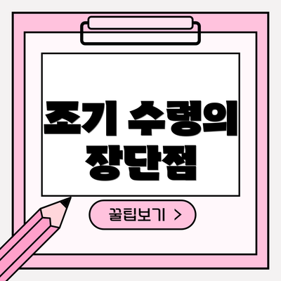 조기 수령의 장단점