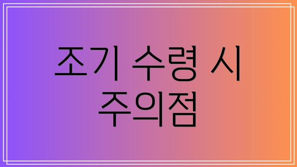 조기 수령 시 주의점