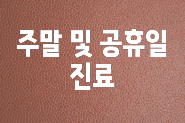 주말 및 공휴일 진료