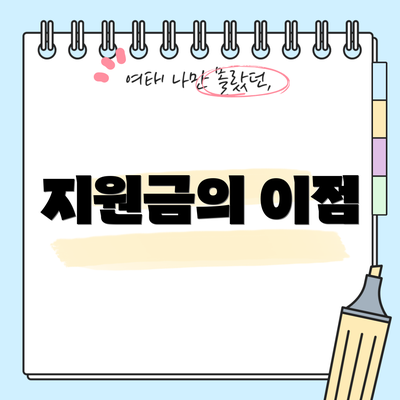 지원금의 이점