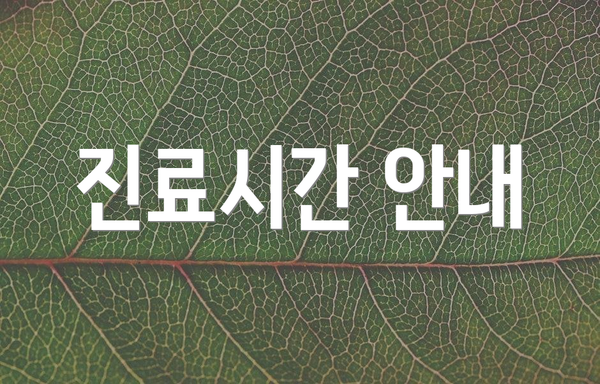 진료시간 안내