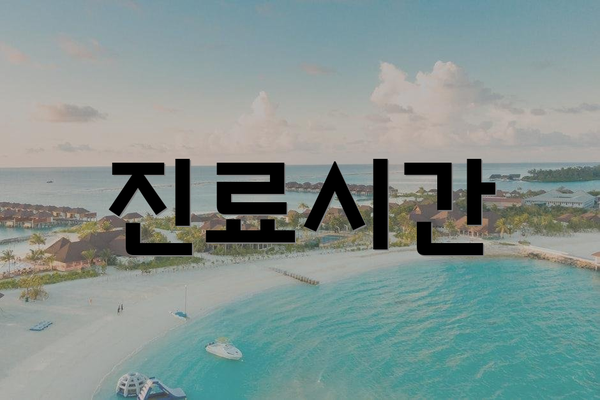 진료시간
