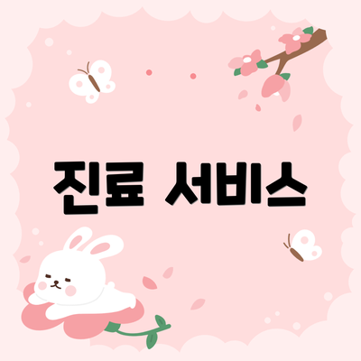 진료 서비스