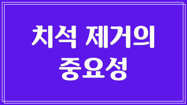 치석 제거의 중요성
