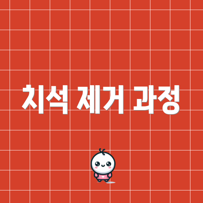 치석 제거 과정