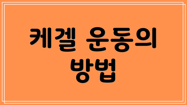 케겔 운동의 방법