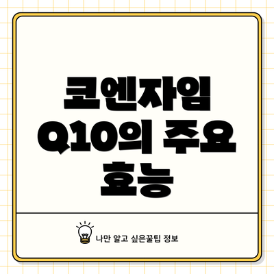 코엔자임 Q10의 주요 효능