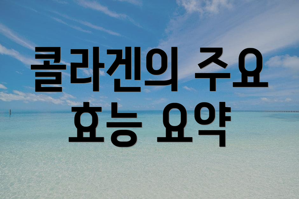 콜라겐의 주요 효능 요약