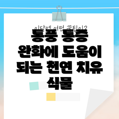 통풍 통증 완화에 도움이 되는 천연 치유 식물