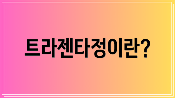 트라젠타정이란?