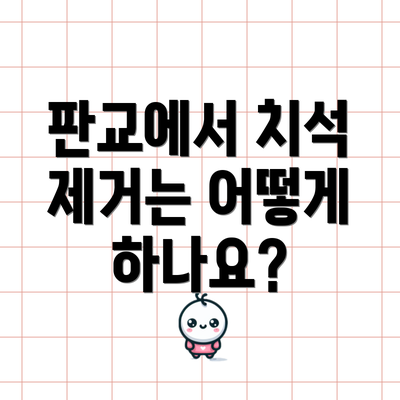 판교에서 치석 제거는 어떻게 하나요?