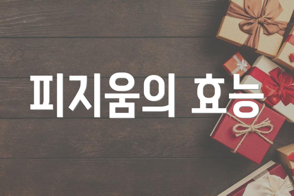 피지움의 효능