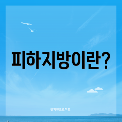 피하지방이란?