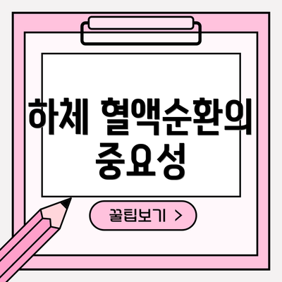 하체 혈액순환의 중요성