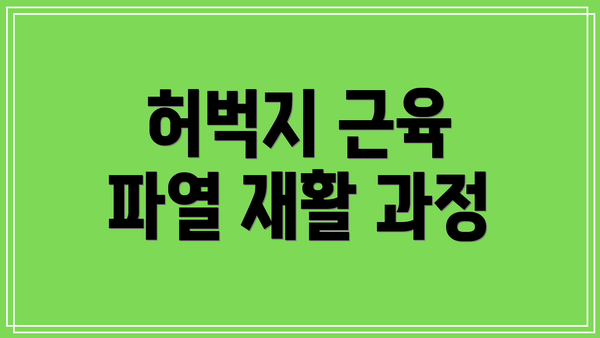 허벅지 근육 파열 재활 과정