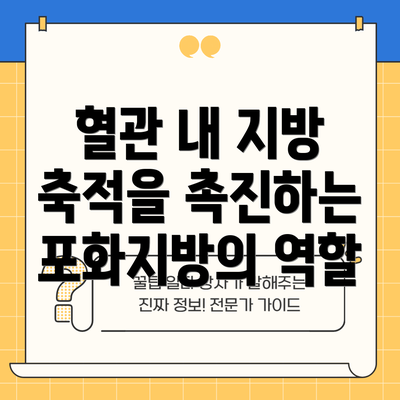 혈관 내 지방 축적을 촉진하는 포화지방의 역할