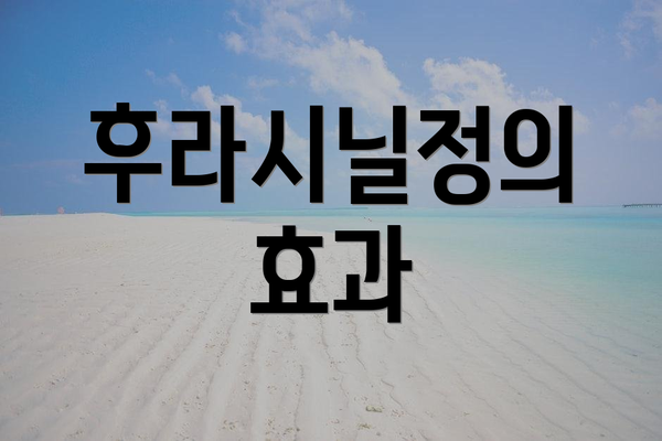 후라시닐정의 효과
