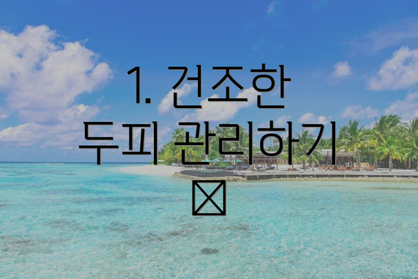 1. 건조한 두피 관리하기 💧