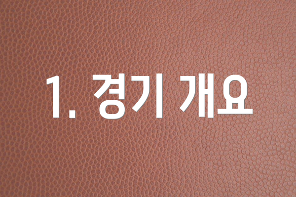 1. 경기 개요
