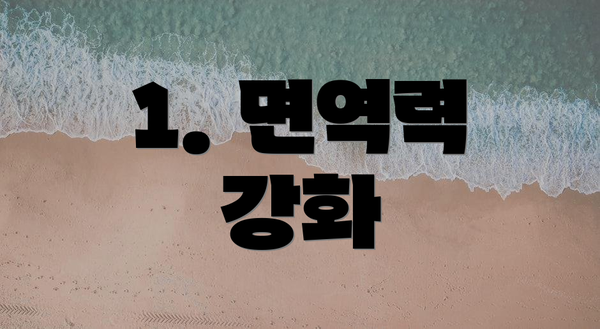 1. 면역력 강화