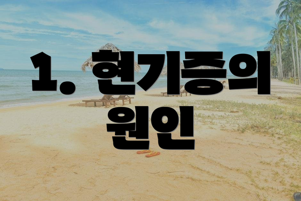 1. 현기증의 원인